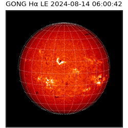 gong - 2024-08-14T06:00:42