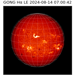 gong - 2024-08-14T07:00:42