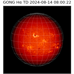 gong - 2024-08-14T08:00:22