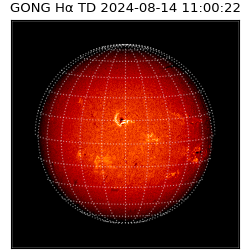 gong - 2024-08-14T11:00:22