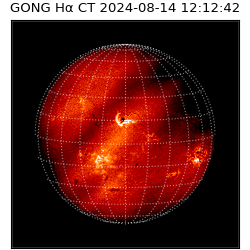 gong - 2024-08-14T12:12:42