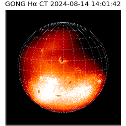 gong - 2024-08-14T14:01:42