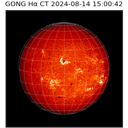 gong - 2024-08-14T15:00:42