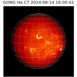 gong - 2024-08-14T16:00:42