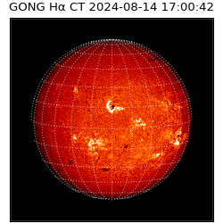 gong - 2024-08-14T17:00:42