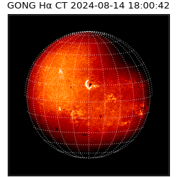 gong - 2024-08-14T18:00:42