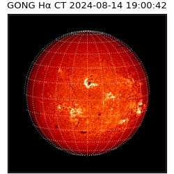 gong - 2024-08-14T19:00:42