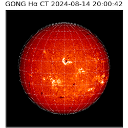 gong - 2024-08-14T20:00:42
