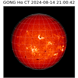 gong - 2024-08-14T21:00:42