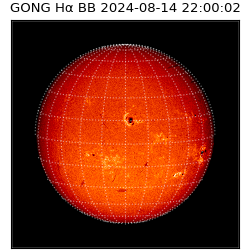 gong - 2024-08-14T22:00:02