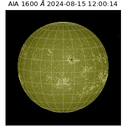 saia - 2024-08-15T12:00:14.132000