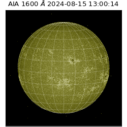 saia - 2024-08-15T13:00:14.137000