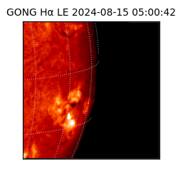 gong - 2024-08-15T05:00:42