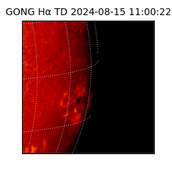 gong - 2024-08-15T11:00:22