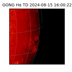 gong - 2024-08-15T16:00:22