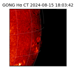 gong - 2024-08-15T18:03:42