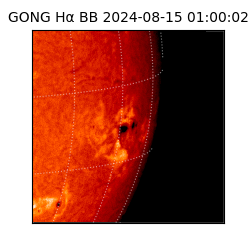 gong - 2024-08-15T01:00:02