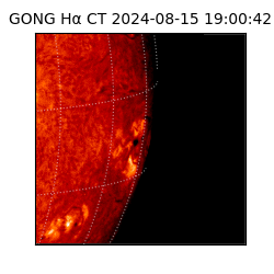 gong - 2024-08-15T19:00:42