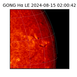 gong - 2024-08-15T02:00:42