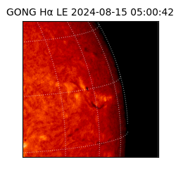 gong - 2024-08-15T05:00:42