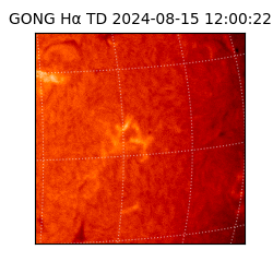 gong - 2024-08-15T12:00:22