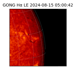 gong - 2024-08-15T05:00:42