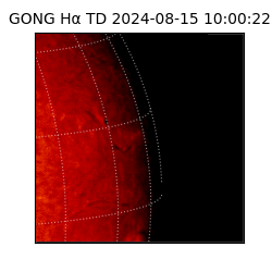 gong - 2024-08-15T10:00:22