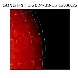 gong - 2024-08-15T12:00:22