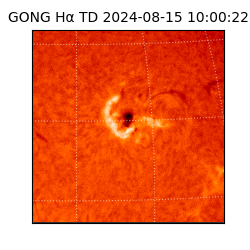 gong - 2024-08-15T10:00:22