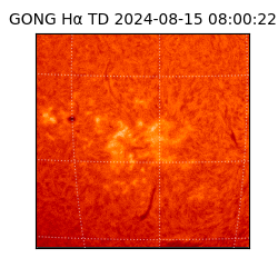 gong - 2024-08-15T08:00:22