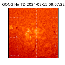 gong - 2024-08-15T09:07:22