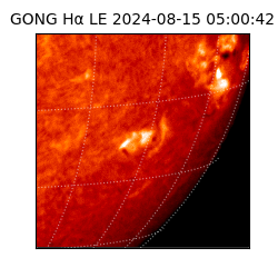 gong - 2024-08-15T05:00:42