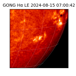 gong - 2024-08-15T07:00:42