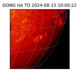 gong - 2024-08-15T10:00:22