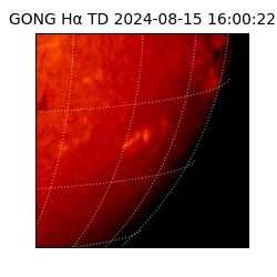 gong - 2024-08-15T16:00:22