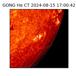 gong - 2024-08-15T17:00:42