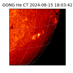 gong - 2024-08-15T18:03:42