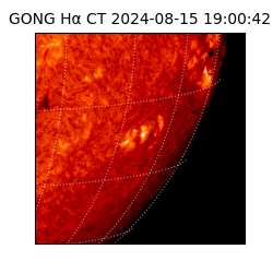 gong - 2024-08-15T19:00:42