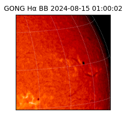 gong - 2024-08-15T01:00:02