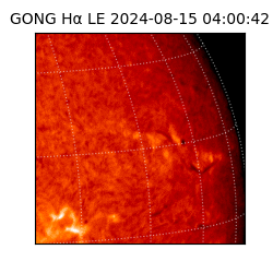 gong - 2024-08-15T04:00:42