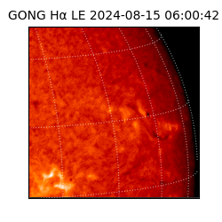 gong - 2024-08-15T06:00:42