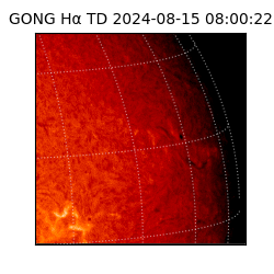 gong - 2024-08-15T08:00:22