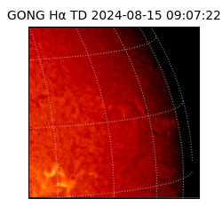 gong - 2024-08-15T09:07:22