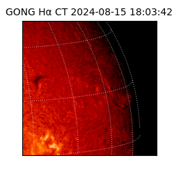 gong - 2024-08-15T18:03:42