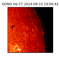 gong - 2024-08-15T19:00:42