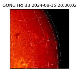 gong - 2024-08-15T20:00:02