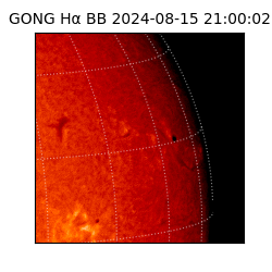 gong - 2024-08-15T21:00:02