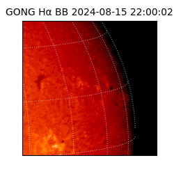 gong - 2024-08-15T22:00:02