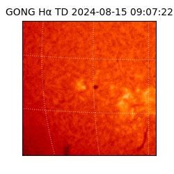 gong - 2024-08-15T09:07:22