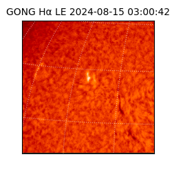 gong - 2024-08-15T03:00:42